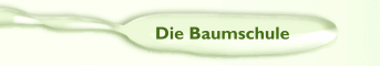 Die Baumschule